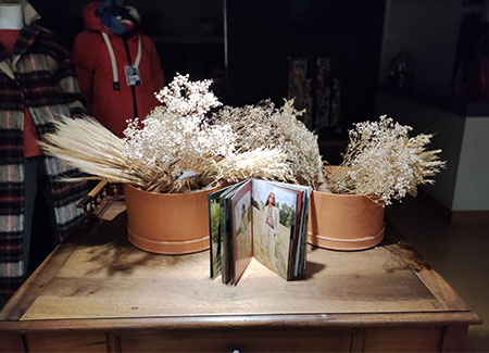 Vista de un expositor, sobre el tenemos dos macetas con plantas secas y un album catálogo