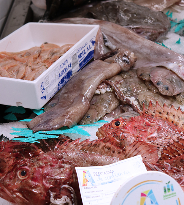 Primer plano del mostrador del comercio, dónde podemos ver varios peces, calamares y gambas en una caja